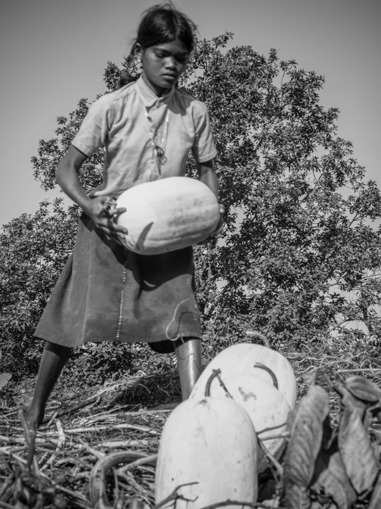 My Mother’S Favorite Children Vinobha Nathan 32
