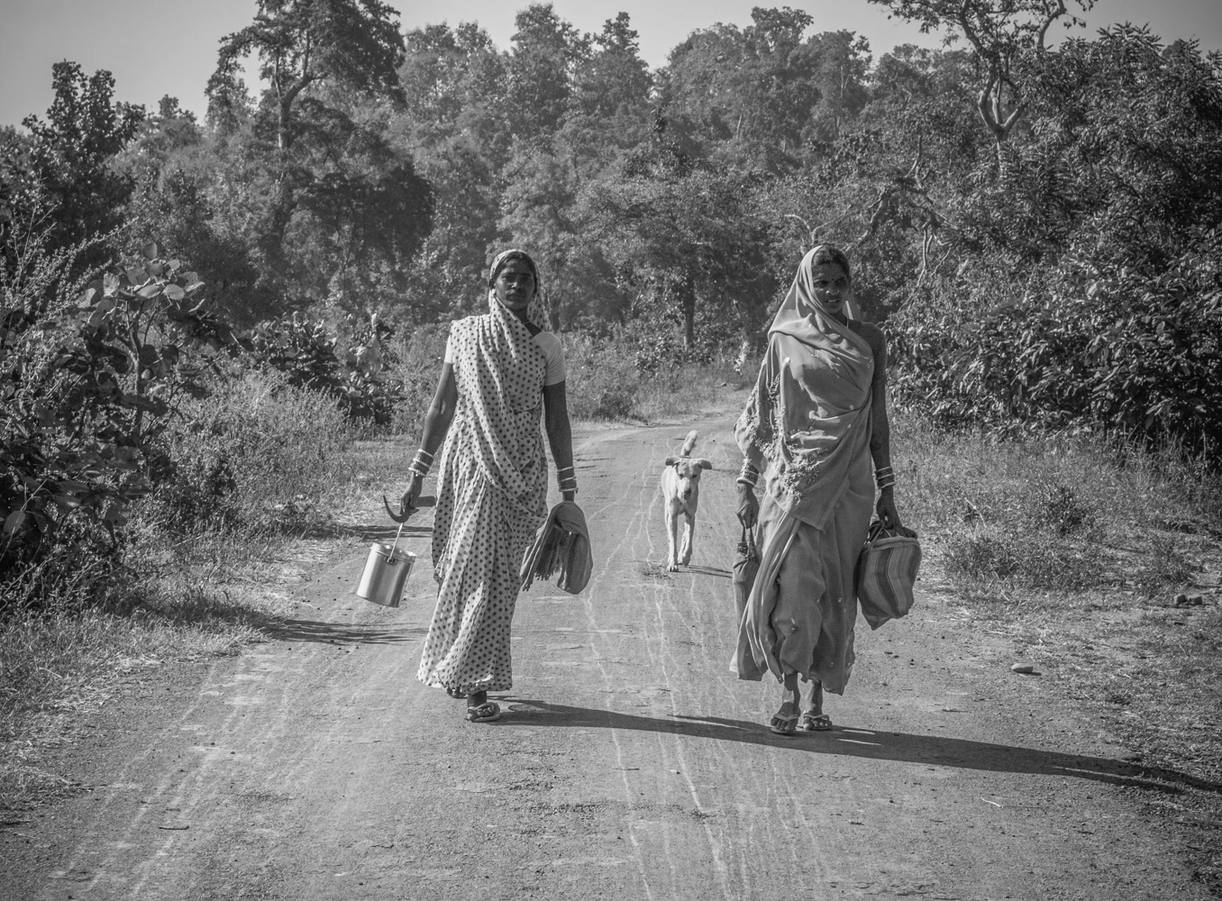My Mother’S Favorite Children Vinobha Nathan 7